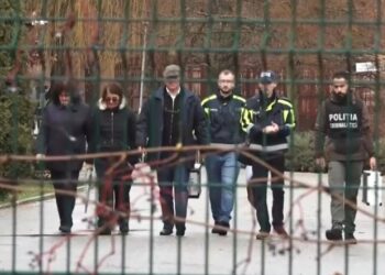 Амурский тигр убил своего смотрителя в зоопарке Питешти в Румынии