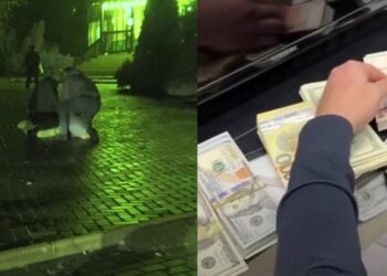 Мошенническая схема на 4 млн леев: Правоохранительные органы задержали двух подозреваемых