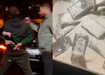 Наркотики на сумму более 1,5 миллиона леев изъяты правоохранительными органами