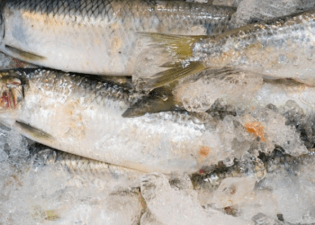 Un lot de pește, retras din comerț. Ce au depistat inspectorii ANSA