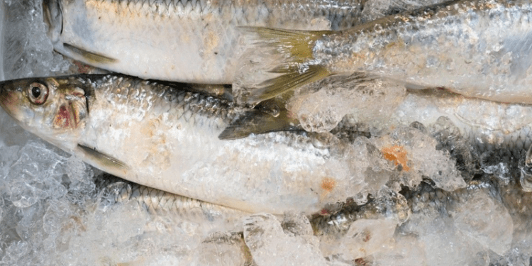 Un lot de pește, retras din comerț. Ce au depistat inspectorii ANSA