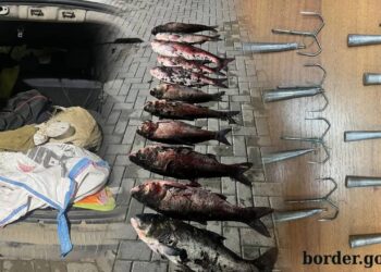 Pescuit ilegal pe Nistru: Doi moldoveni capturați cu 93 de kilograme de pește