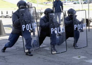 Ursul care a intrat într-un supermarket în Japonia a fost prins după trei zile