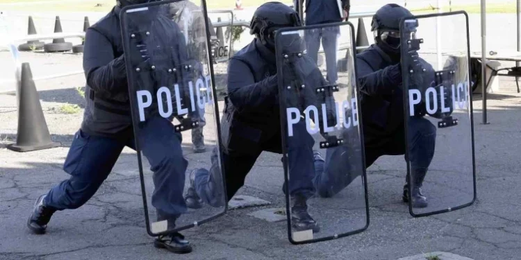 Ursul care a intrat într-un supermarket în Japonia a fost prins după trei zile