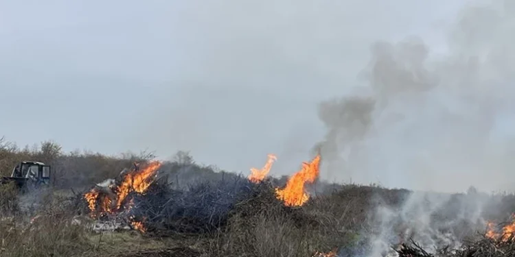 Tăieri ilegale și arderi necontrolate la Criuleni