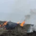 Tăieri ilegale și arderi necontrolate la Criuleni