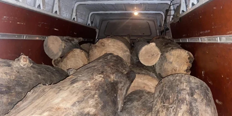 Razii împotriva tăierilor ilegale: Microbuz plin cu masă lemnoasă, descoperit în Fălești