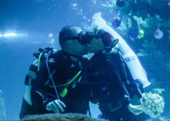 Ceremonie de căsătorie subacvatică în Moscova: Cupluri și rechini la „Mosquarium”