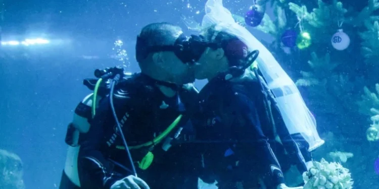 Ceremonie de căsătorie subacvatică în Moscova: Cupluri și rechini la „Mosquarium”