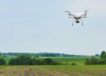 Consultantul unei companii de drone agricole, reținut pentru prejudicierea acesteia cu 2.000.000 de lei