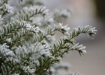 Vreme înnorată astăzi, fără precipitații semnificative în întreaga țară