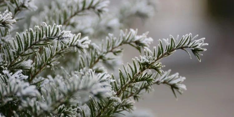Vreme înnorată astăzi, fără precipitații semnificative în întreaga țară