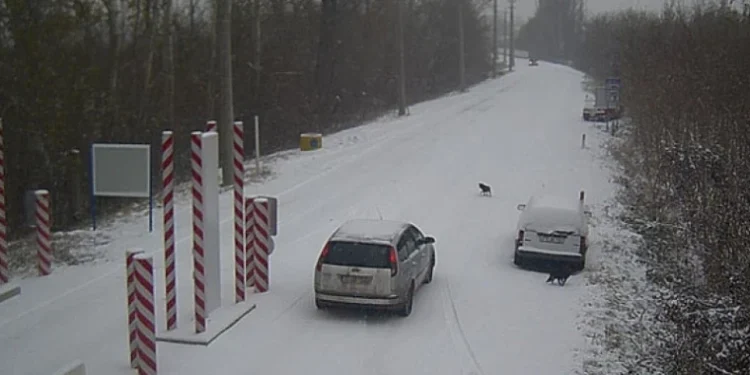 Poliția de Frontieră recomandă rute alternative pentru a evita aglomerația în timpul sărbătorilor