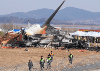 Tragedia Jeju air: impactul cu o pasăre ar fi provocat prăbușirea avionului în sudul coreei