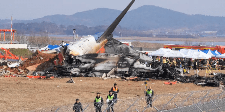 Tragedia Jeju air: impactul cu o pasăre ar fi provocat prăbușirea avionului în sudul coreei