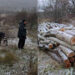 Furt de lemne în raionul Hîncești: 320 de arbori tăiați ilegal, prejudiciu estimat la 10.500 de lei