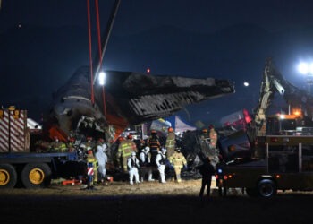 Care ar fi cauza prăbușirii avionului sud-coreean. Martorii spun că au auzit o explozie puternică