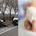 Fetița în vârstă de 10 ani, care și-a pierdut părinții și bunica în accident, rămâne în stare gravă