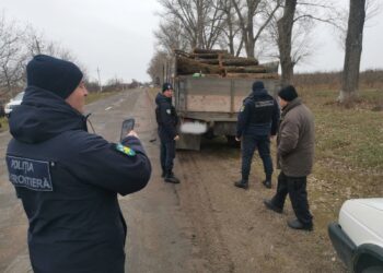 Lemnele din pădure sunt gratuite? Un bărbat din Briceni a fost amendat pentru tăiere ilegală de copaci