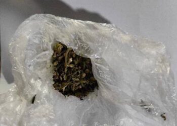 Rețea de trafic de droguri destructurată la Călărași: Patru bărbați riscă până la 6 ani de închisoare