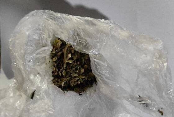 Rețea de trafic de droguri destructurată la Călărași: Patru bărbați riscă până la 6 ani de închisoare