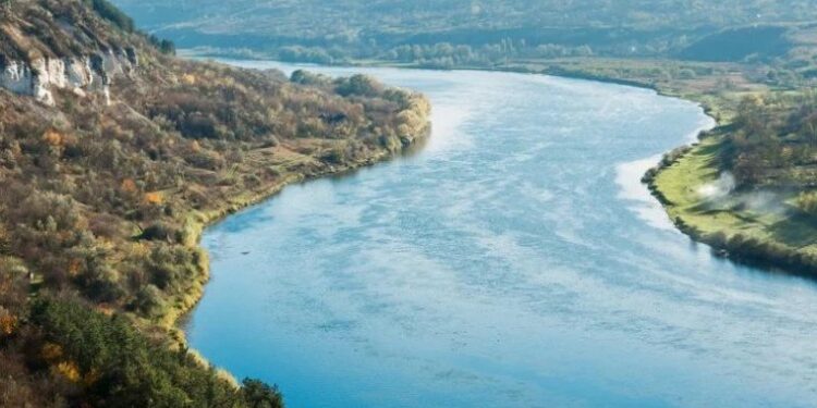 Вид рыбы из Днестра запретят в международной торговле