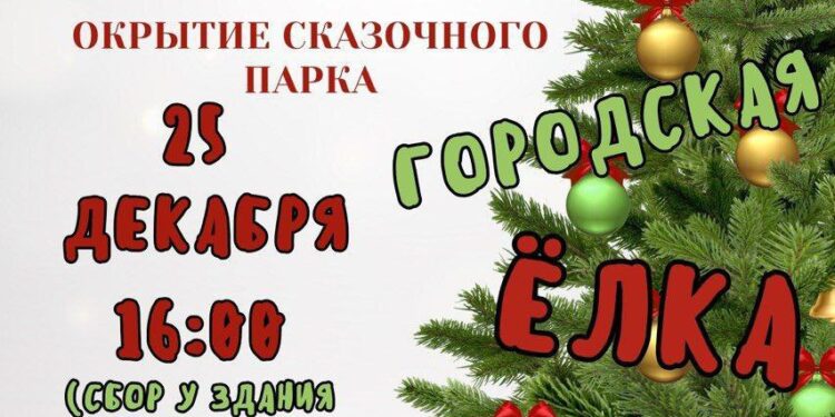 Echipa lui Ilan Șor dă startul sărbătorilor de iarnă la Taraclia — Partidul Şor