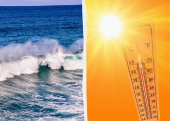 За последние 40 лет темпы нагревания океанов увеличились более чем в четыре раза