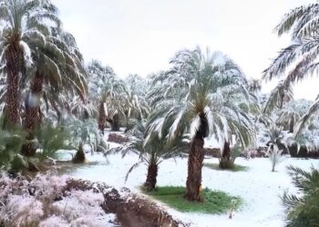 В Марокко впервые за 50 лет выпал снег