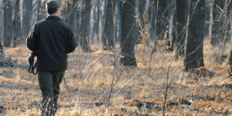 Un silvicultor din Leova a rămas fără loc de muncă, după ce a participat la o vânătoare ilegală