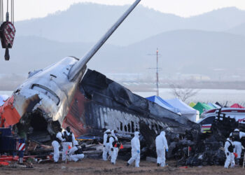 В двигателях разбившегося в Южной Корее самолета Jeju Air обнаружены перья