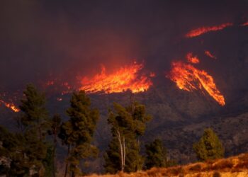 Под Лос-Анджелесом начался новый пожар. Эвакуированы десятки тысяч местных жителей