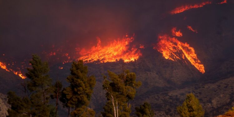 Под Лос-Анджелесом начался новый пожар. Эвакуированы десятки тысяч местных жителей