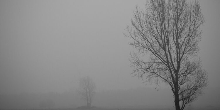 Cod galben de ceață în aproape toată Moldova. Câte grade vom avea astăzi?