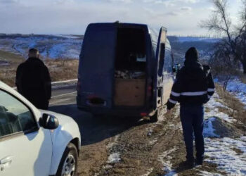 Razii de control în nordul Moldovei: Tăieri ilegale de arbori și pescuit braconaj descoperite de inspectorii de mediu