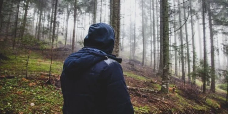 Tânăr pierdut în Parcul Național Kosciuszko, găsit după 13 zile de la dispariție