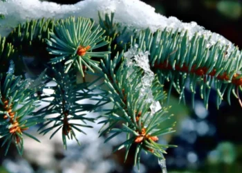 Vreme stabilă și rece în Moldova: prognoza pentru zilele următoare