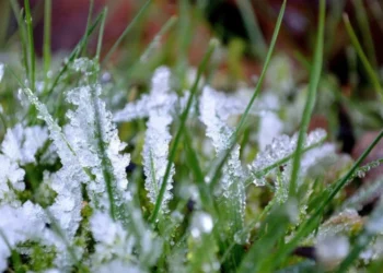 Cum va fi vremea în Moldova în următoarele zile: Cer înnorat și temperaturi scăzute