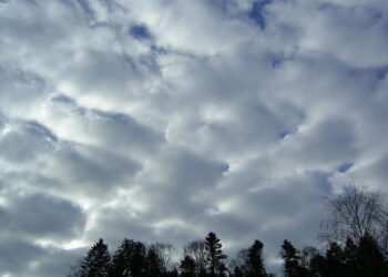 Vremea în Moldova: Prognoza pentru zilele următoare