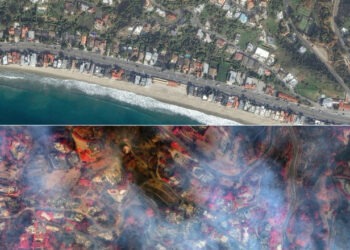 Amploarea incendiilor din California, văzută din satelit. Cum arătau înainte zonele distruse acum complet  Citește mai mult la: https://www.digi24.ro/stiri/externe/sua/amploarea-incendiilor-din-california-vazuta-din-satelit-cum-aratau-inainte-zonele-distruse-acum-complet-3074931  Informaţiile publicate pe site-ul Digi24.ro pot fi preluate, în conformitate cu legislația aplicabilă, doar în limita a 120 de caractere.
