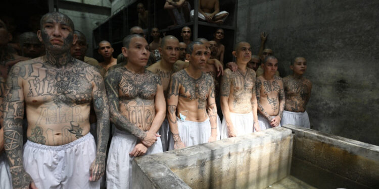 Coșmarul din mega-închisoarea unde nevinovații împart celula cu teroriști