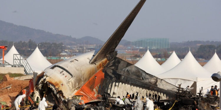 Pene de pasăre şi sânge au fost găsite în motoarele avionului Jeju Air care s-a prăbuşit în Coreea de Sud