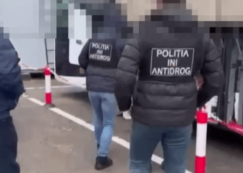 Droguri în valoare de 4 milioane de lei descoperite în Republica Moldova: Doi tineri reținuți