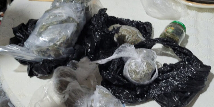 Captură de marijuana de 250.000 lei la Comrat: Doi bărbați reținuți pentru trafic de droguri