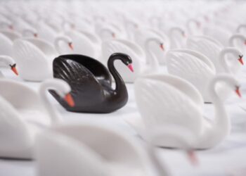 Politico prezintă „lebedele negre” ale anului 2025: Evenimente imprevizibile care ar putea schimba lumea