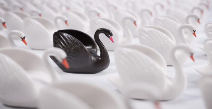 Politico prezintă „lebedele negre” ale anului 2025: Evenimente imprevizibile care ar putea schimba lumea