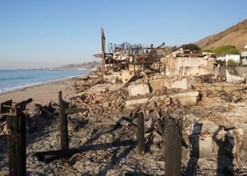 В США рассказали, что могло спровоцировать масштабные пожары в Калифорнии