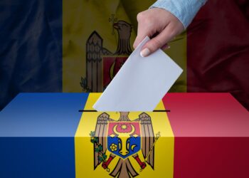 Василий Боля: Дания не должна вмешиваться в выборы Молдовы