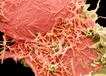 Creșterea cazurilor de infecție cu Metapneumovirusul uman (HMPV) în Moldova: Recomandările ANSP