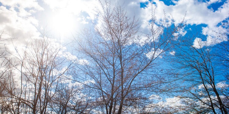 Переменная облачность и слабые осадки: Какой будет погода 26 февраля